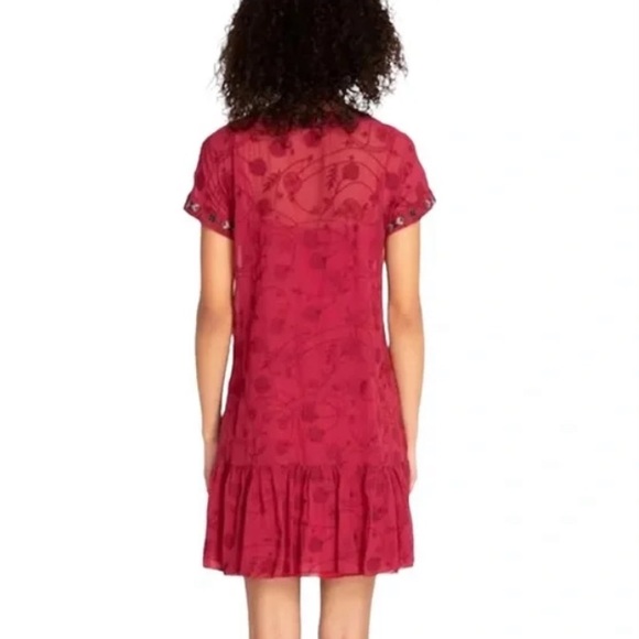 JOHNNY WAS🌻 JADE Sheer Embroidered Lace Up Mini Dress - Picture 4 of 15